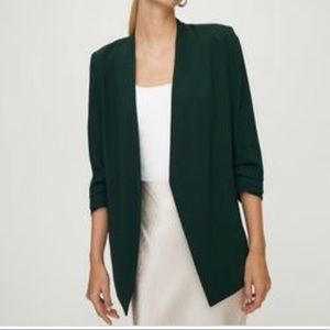 Aritzia Babaton Power Blazer